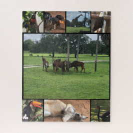 Zoo Days - Animal Puzzle Collage