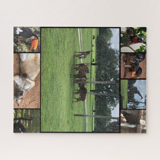 Zoo Days - Animal Puzzle Collage (Horizontal)