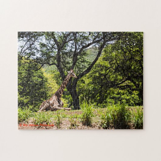 Zoo Giraffe Honolulu Puzzle (Horizontal)