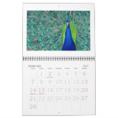 Zoo - Kalender 2022 (Feb 2027)