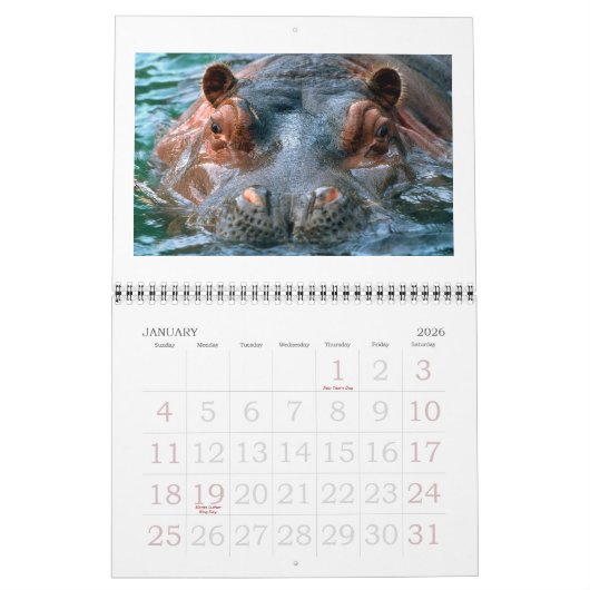  Zoo - Kalender 2022 (Jan 2026)