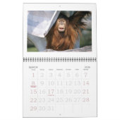Zoo - Kalender 2022 (Mär 2026)