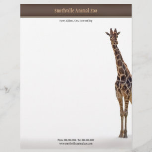 Zoo Letterhead Briefbogen