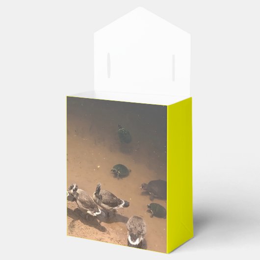 Zoo-Liebe Geschenkschachtel (Geöffnet)