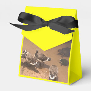 Zoo-Liebe Geschenkschachtel