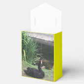 Zoo-Liebe Geschenkschachtel (Geöffnet)