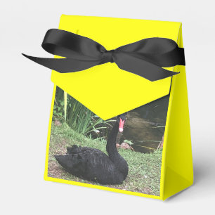 Zoo-Liebe Geschenkschachtel