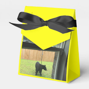 Zoo Liebes Gefallen Box Geschenkschachtel
