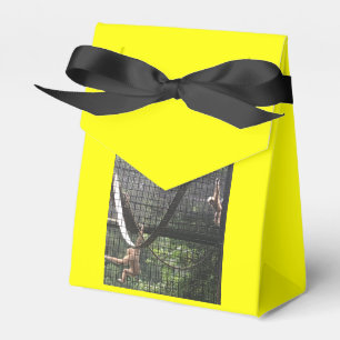Zoo Liebes Gefallen Box Geschenkschachtel