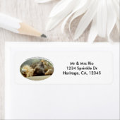 Zoo Lion Dreaming eines Dschungeladressenlabels (Insitu)