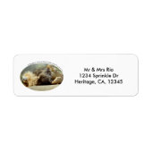 Zoo Lion Dreaming eines Dschungeladressenlabels (Vorne)