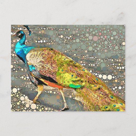 Zoo Peacock Postcard Postkarte (Vorderseite)