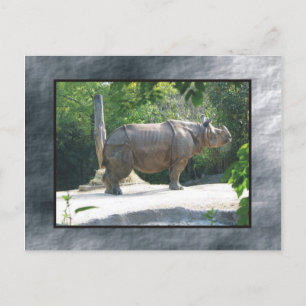 Zoo Postkarte