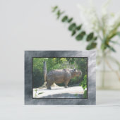 Zoo Postkarte (Stehend Vorderseite)