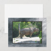 Zoo Postkarte (Vorne/Hinten)