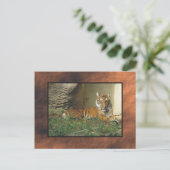 Zoo Postkarte (Stehend Vorderseite)