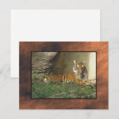 Zoo Postkarte (Vorne/Hinten)