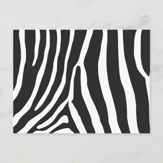 Zoo Postkarte (Vorderseite)