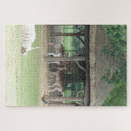Zoo Puzzle: Deerpark Puzzle (Horizontal)
