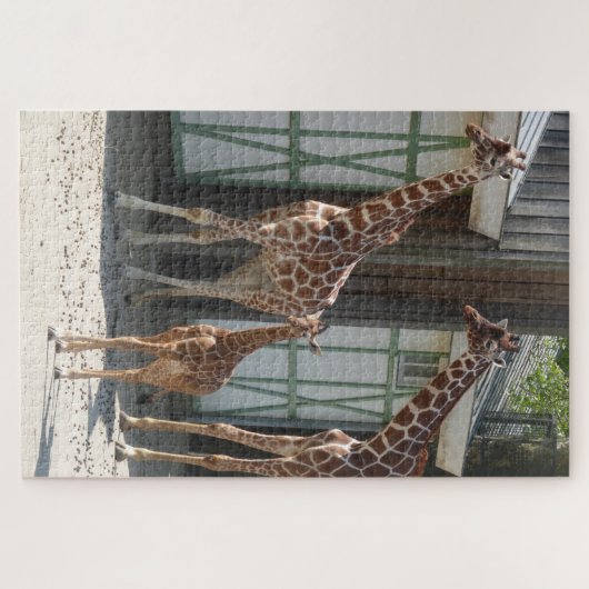 Zoo Puzzle: Giraffen mit Baby Puzzle (Horizontal)