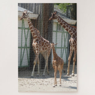 Zoo Puzzle: Giraffen mit Baby Puzzle