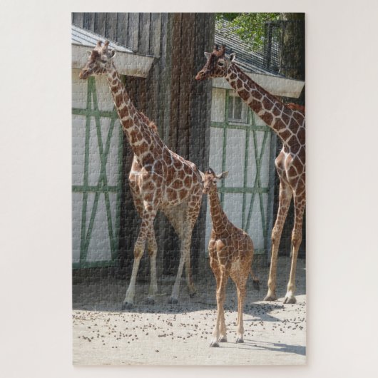 Zoo Puzzle: Giraffen mit Baby Puzzle (Vertikal)