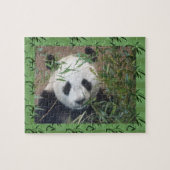 Zoo Puzzle: Niedlich Panda Puzzle (Horizontal)