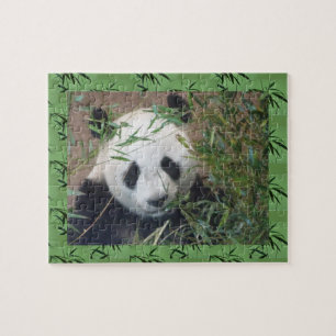 Zoo Puzzle: Niedlich Panda Puzzle