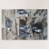 Zoo Puzzle: Niedliche Pinguine Puzzle (Horizontal)
