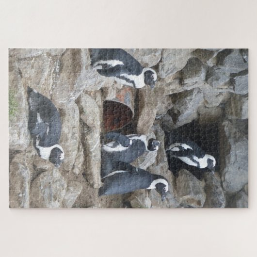 Zoo Puzzle: Niedliche Pinguine Puzzle (Horizontal)