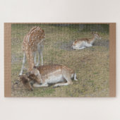 Zoo-Puzzle: Niedliches Hirsch Puzzle (Horizontal)