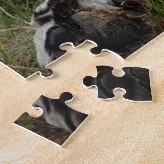 Zoo Puzzle: Schöner Tiger Puzzle (Seite)