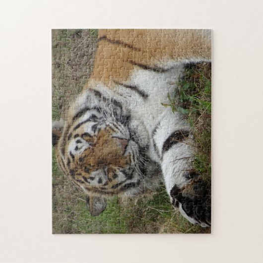 Zoo Puzzle: Schöner Tiger Puzzle (Vertikal)