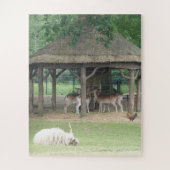 Zoo Puzzle: Tiere in Deerpark Puzzle (Vertikal)