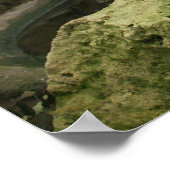 Zoo Rainforest Exhibit Poster (Ecke)