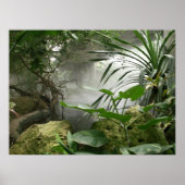 Zoo Rainforest Exhibit Poster (Vorne)