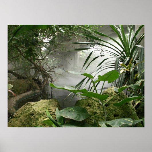 Zoo Rainforest Exhibit Poster (Vorne)