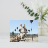 Zoo San Diego Postkarte (Stehend Vorderseite)