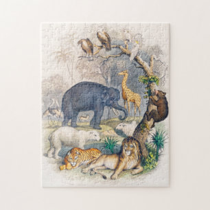 Zoo, Tier, niedlich, Tiere, Natur, Wildtiere Puzzle