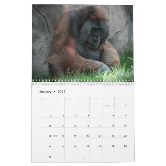 Zoo-Tier-Spaß Kalender (Jan 2027)