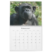Zoo-Tiere Kalender (Feb 2027)