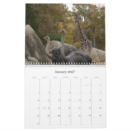 Zoo-Tiere Kalender (Jan 2027)