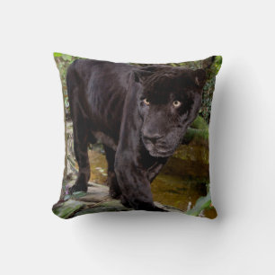 Zoo von Belize City. Schwarzer Panther Kissen