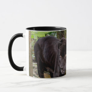 Zoo von Belize City. Schwarzer Panther Tasse