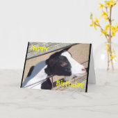 "Zoo-Ziegen-" Geburtstags-Karte Karte (Gelbe Blume)