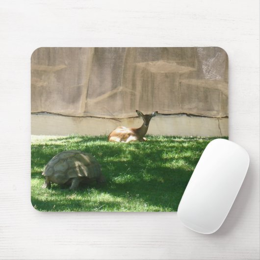 Zooaufnahmen Mousepad (Mit Mouse)