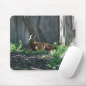 Zooaufnahmen Mousepad (Mit Mouse)