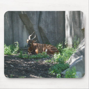 Zoobilder Mousepad
