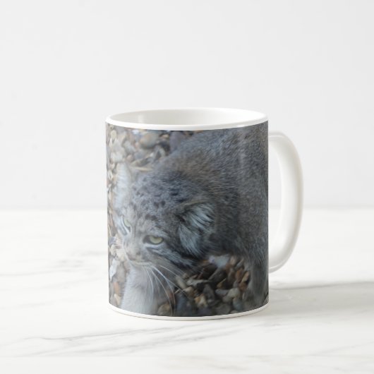 Zoofotografie - Pallas Cat (Handbuch) Kaffeetasse (VorderseiteRechts)