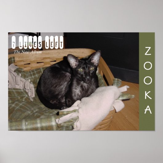 Zooka 2007 poster (Vorne)